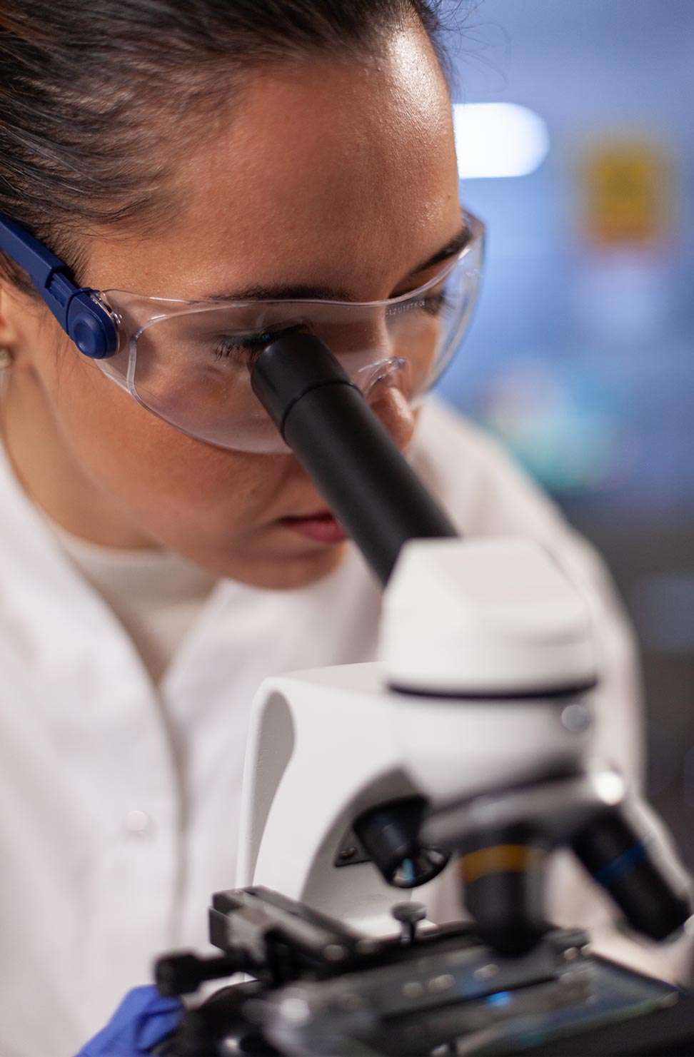 estudio científico sobre cómo los dientes se regeneran solos, fármacos que estimulan la producción de dentina para regenerar el diente
