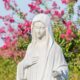 XV Congreso Iberoamericano María Reina de la Paz 2025, patrocinador oficial Calvo de Mora