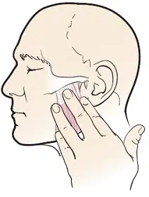 No puedo abrir bien la boca después de una extracción de muelas, qué es el trismus, ATM, apertura mandibular ideal, dolor al abrir la boca o al masticar