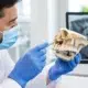 Casos de implantes pterigoideos: cuándo indicarlos